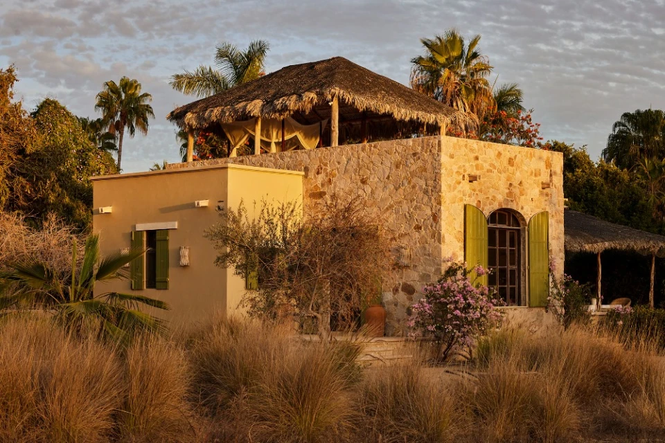 Exterior view of a stone house with a thatched roof in a tropical environment, surrounded by tall grass, shrubs and palm trees.