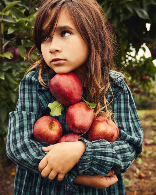 Young girl in a green plaid dress is holding a collection of bright red apples outdoors with a backdrop of apple trees and foliage.