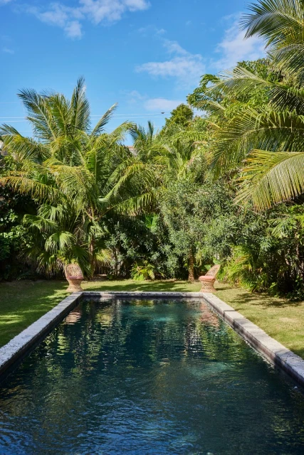 Outdoor swimming pool with dark water surrounded by a stone border and lush green tropical trees and blue sky.