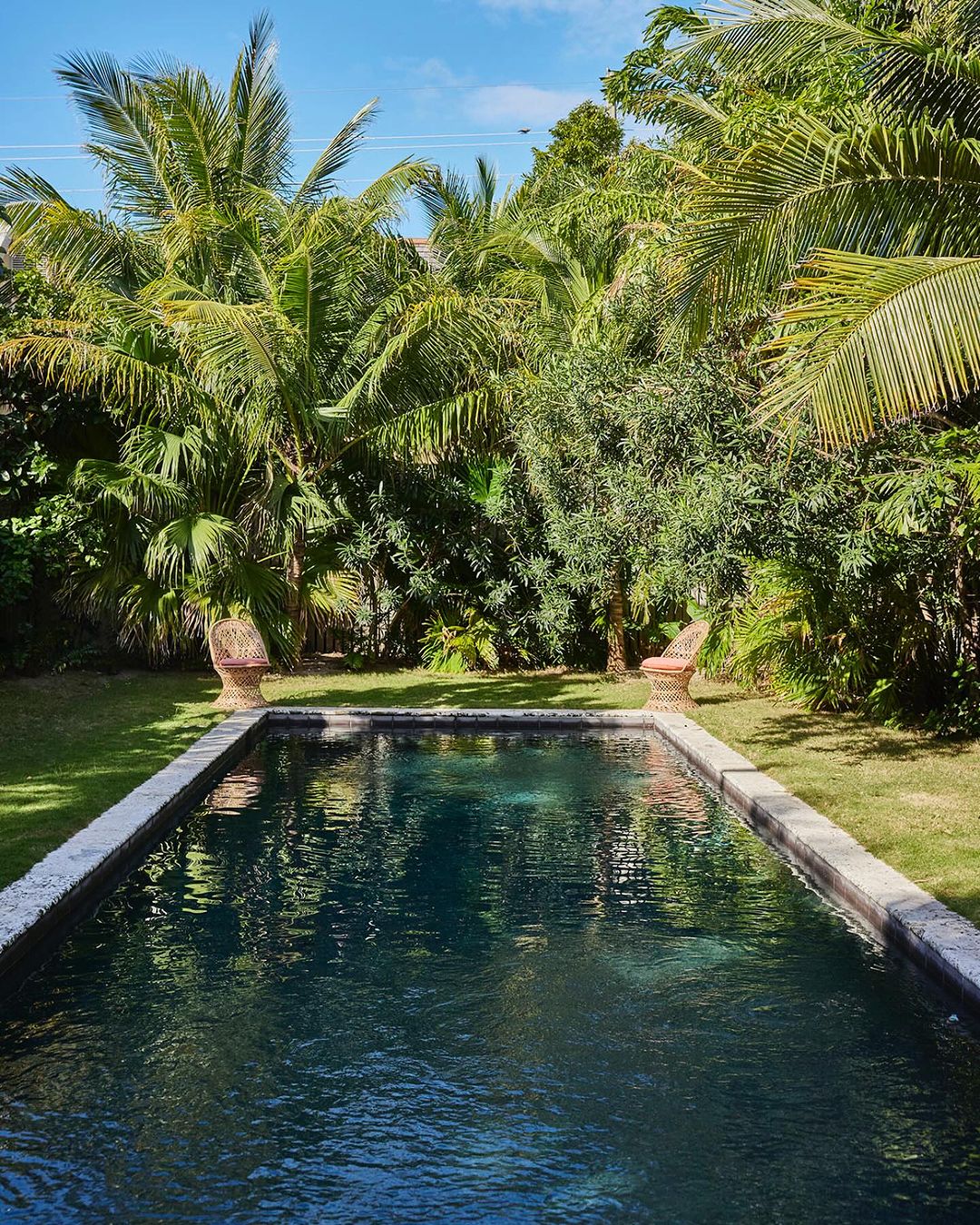 Rectangular in-ground swimming pool surrounded by a stone patio with lush tropical foliage, palm trees, and blue sky in the background.