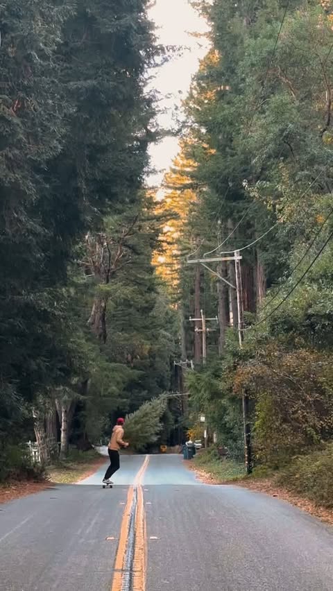 A person longboarding down an asphalt road lined with tall trees in a forest setting, enjoying an outdoor recreation activity.