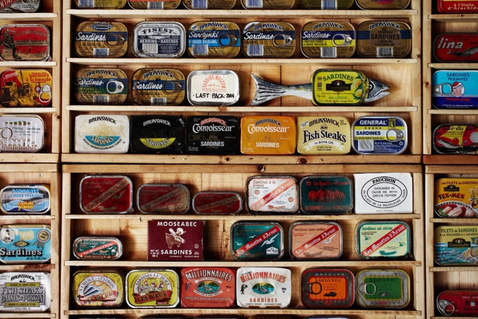 Collection of various sardine cans arranged on a wooden shelf, displaying a variety of vintage designs and branding of canned seafood products.