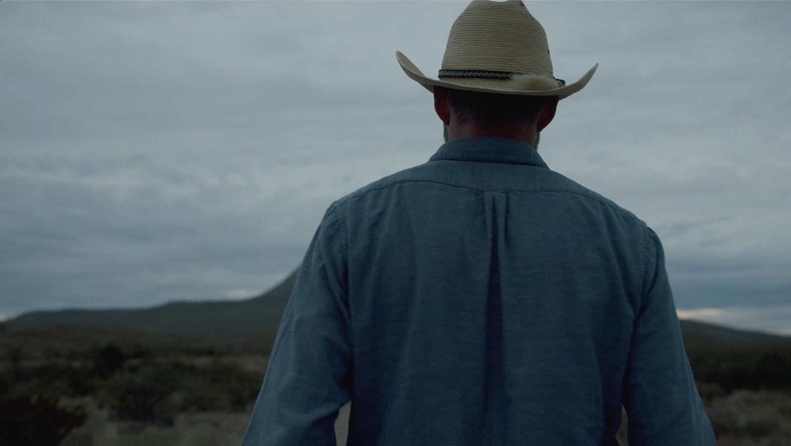 Back view of adult male wearing cowboy hat and blue shirt in rural setting with cloudy sky and mountain in the distance.