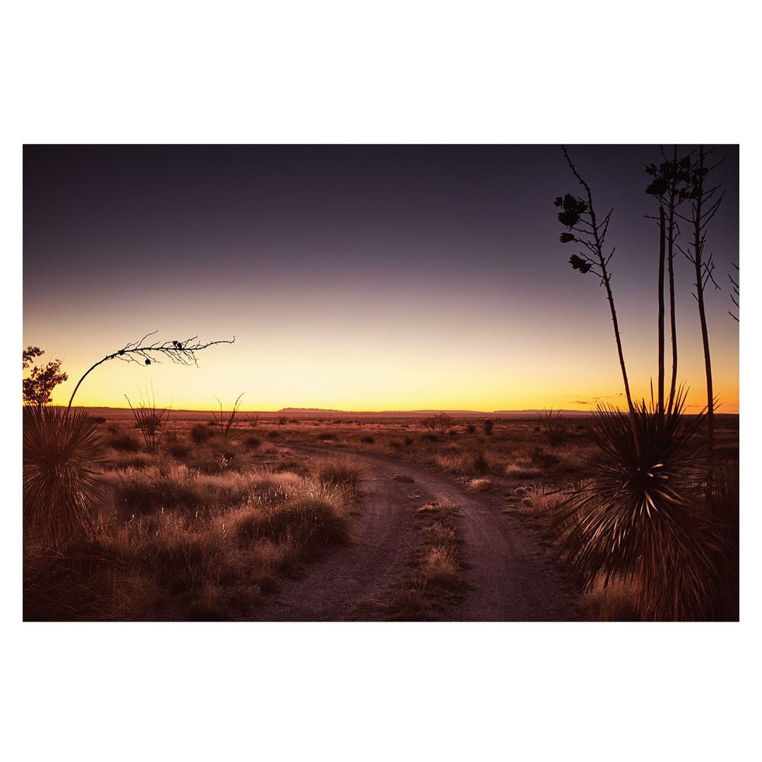 Desert landscape at sunset with a dirt road leading through dry grass and shrubbery under a gradient sky of dark purple to orange.