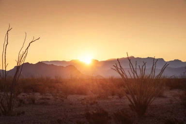 A desert landscape at sunset with silhouetted mountains, sparse bushes, and tall ocotillo cacti under a warm gradient sky.