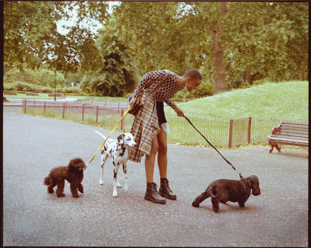 Woman walks three dogs of different breeds on leashes in a park setting with trees and foliage in the background on a sunny day.