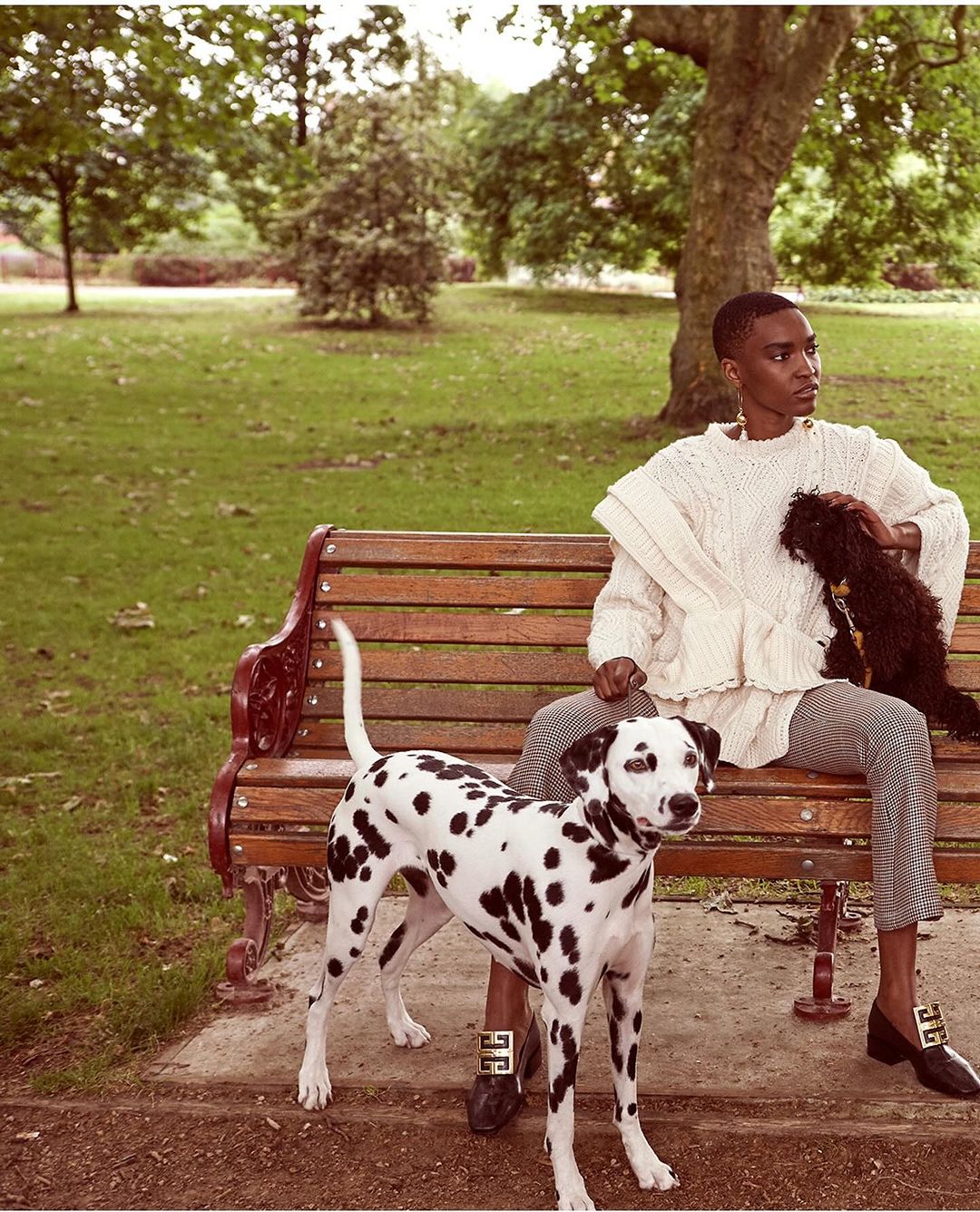 Adult with two dogs on park bench wearing stylish knitwear, patterned pants, and distinctive buckled shoes in natural outdoor setting.