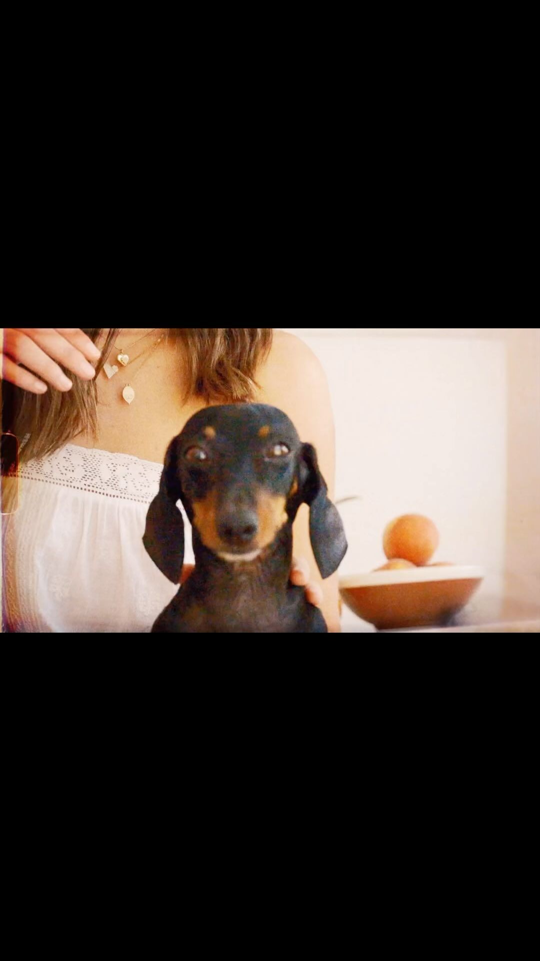 A dachshund dog is the focus of the frame, with a woman partially visible and a bowl with an orange also in the shot, indoors.