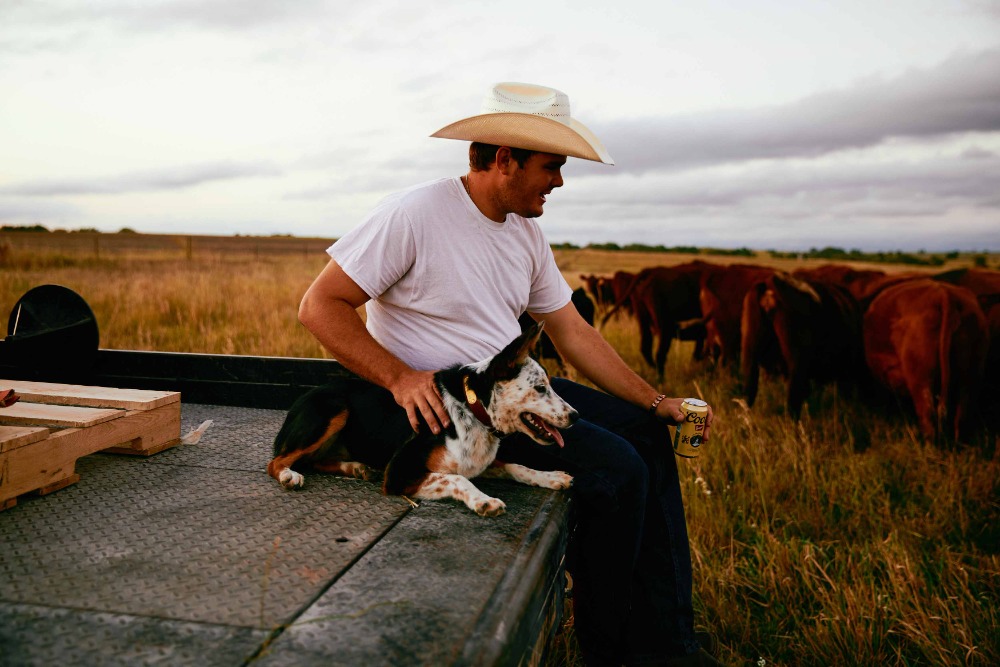 Man in cowboy hat sits with dog on a vehicle in grassy field with cattle in the background under an overcast sky at dusk.