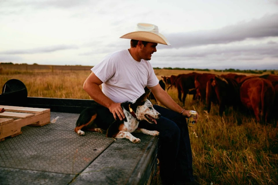 Man in cowboy hat sits with dog on a vehicle in grassy field with cattle in the background under an overcast sky at dusk.