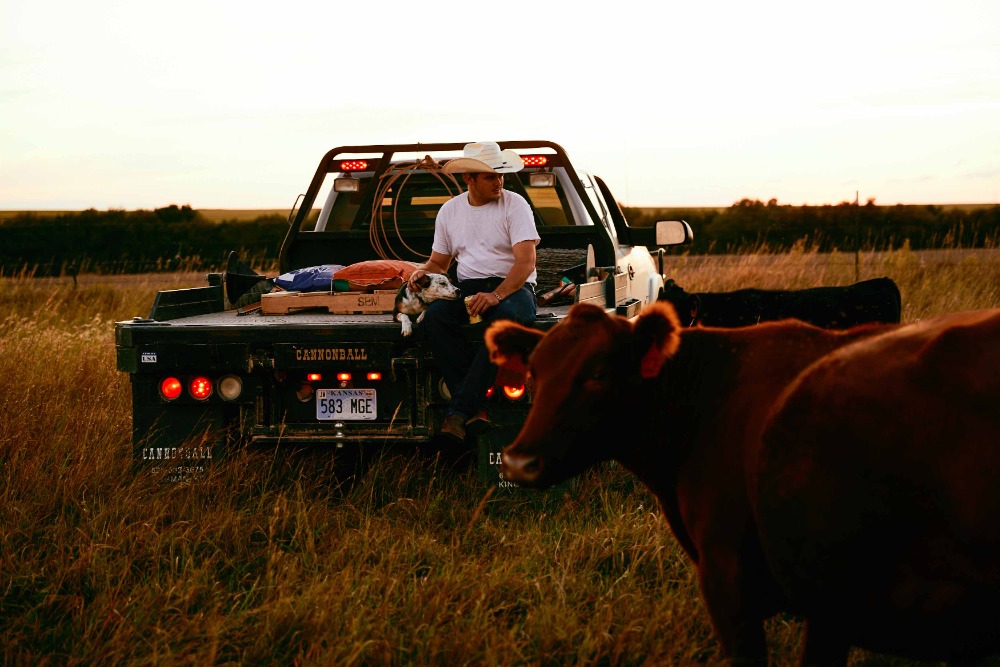 Man and dog rest on a flatbed truck surrounded by grassland under a golden sky with a cow in the foreground.