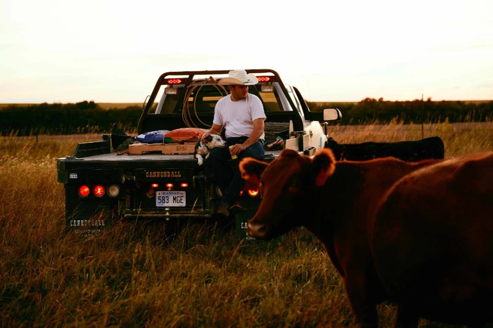 Man and dog rest on a flatbed truck surrounded by grassland under a golden sky with a cow in the foreground.