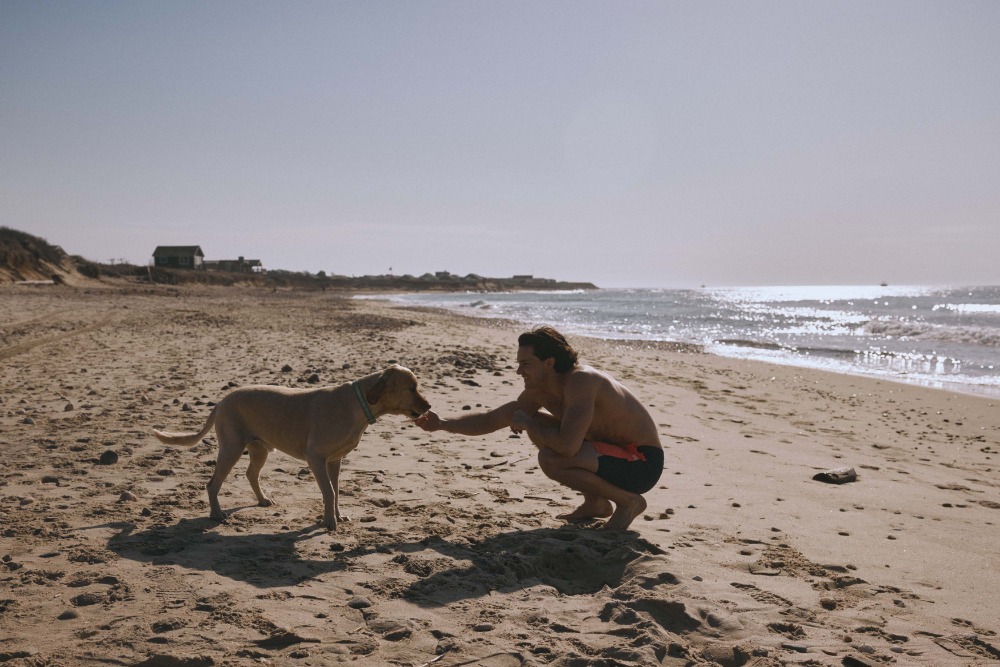 A man crouching on a sunny beach, offers a treat to a golden dog, with the ocean, horizon, and sandy dunes in the background.