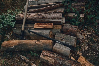 An axe and a pickaxe resting on a stack of cut firewood logs outdoors surrounded by low green foliage.