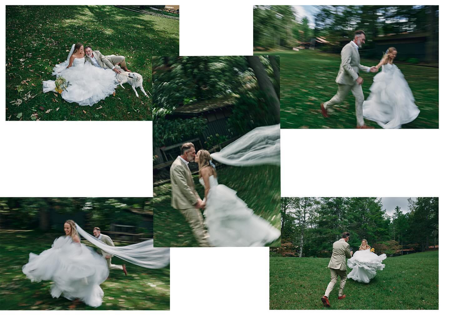 Wedded couple in formal wear celebrate outdoors on green lawn with their dog, in a joyful and picturesque wedding scene.