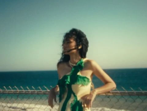 Woman in summer dress leans against a fence overlooking the ocean on a sunny day, featuring clear sky, and ocean view.