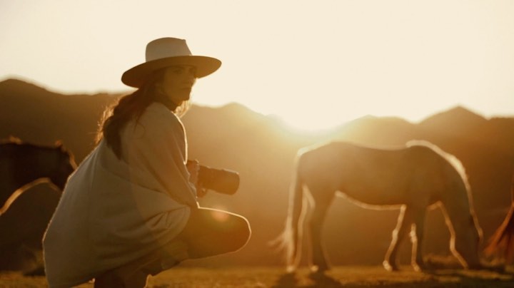 Woman photographs horses in a golden field at sunset. Backlit scene with mountains in the background and warm light.