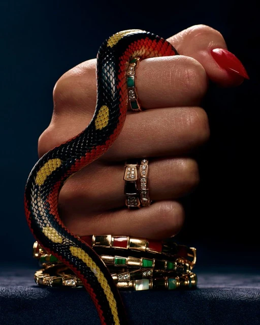 Close-up of a woman's fist adorned with gold rings and bracelets, clutching a vibrant patterned snake against a dark background.