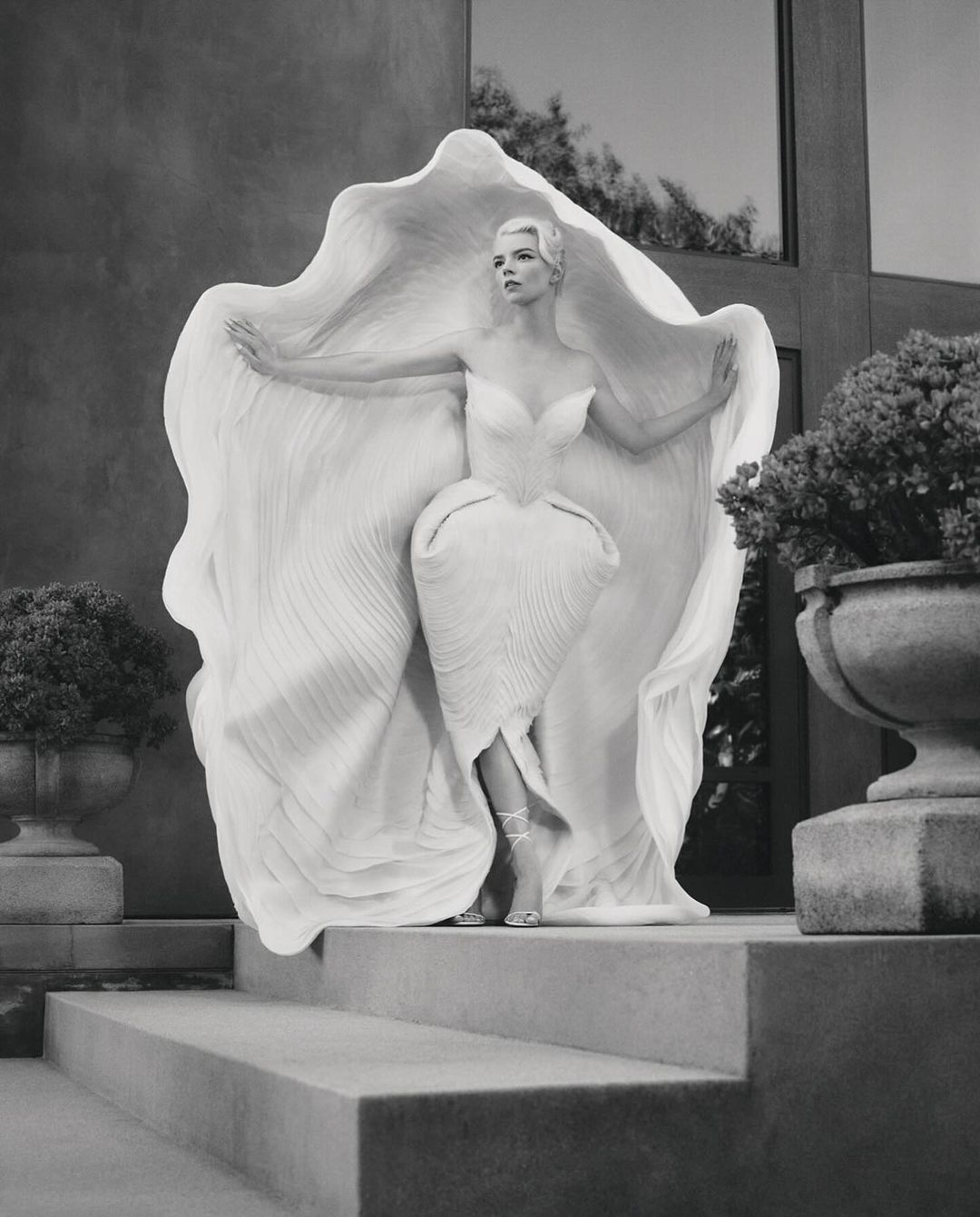 Monochromatic fashion portrait of a woman in an ornate white dress, posing on steps with potted plants and a building in the background.