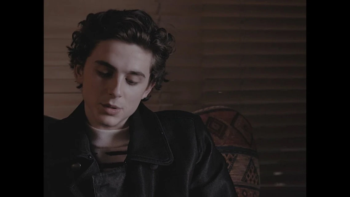Portrait of Timothée Chalamet in a dark jacket, indoors with brown wooden background and a patterned decorative pot visible to the right.