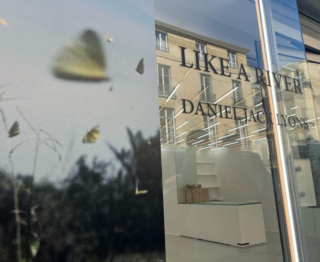 A split view of a butterfly scene and a building reflected in a window, with the words 'Like a River Daniel Jack Lyons'.