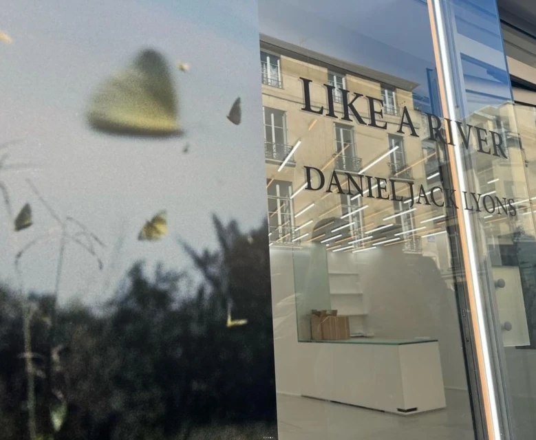 A split view of a butterfly scene and a building reflected in a window, with the words 'Like a River Daniel Jack Lyons'.