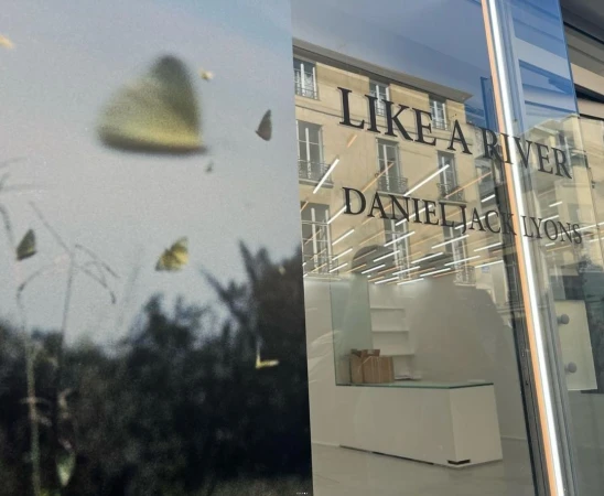 A split view of a butterfly scene and a building reflected in a window, with the words 'Like a River Daniel Jack Lyons'.