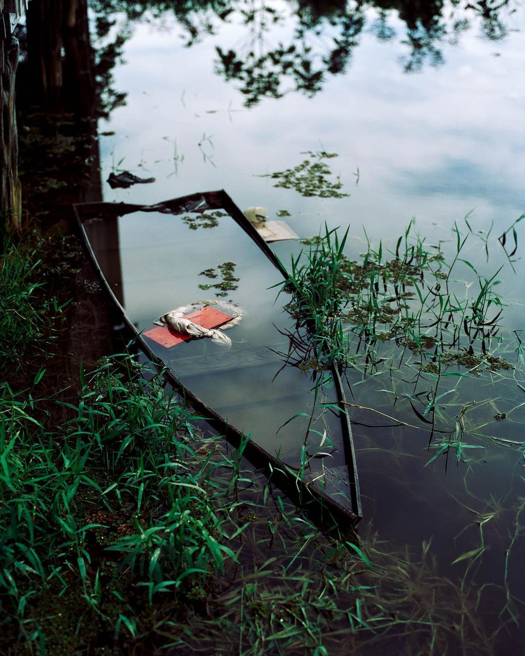 Submerged boat surrounded by green foliage in a serene body of water, reflecting the sky and trees above under natural light.