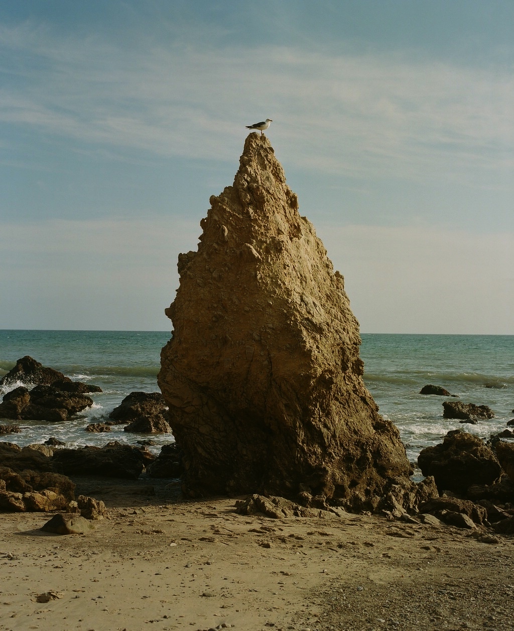 Seagull perched atop a large rock formation at the ocean's edge under a clear blue sky, capturing the serene coastal landscape.