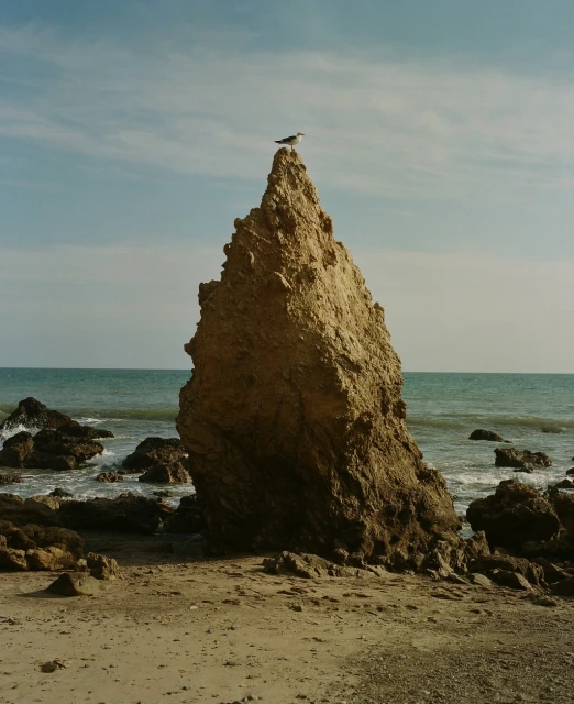 Seagull perched atop a large rock formation at the ocean's edge under a clear blue sky, capturing the serene coastal landscape.