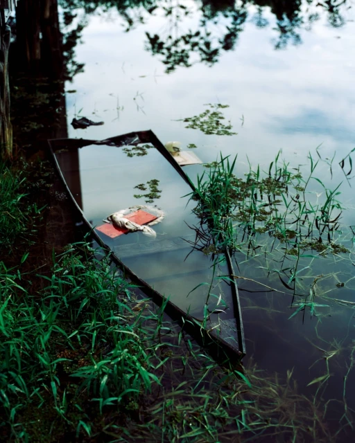 Sunken boat in water with green vegetation and reflections, creating a serene and slightly melancholic natural scene.