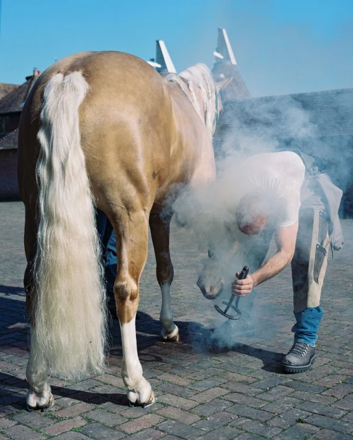 Farrier works on a palomino horse's hooves outdoors with smoke rising, on brick pavement under a clear blue sky, daytime.