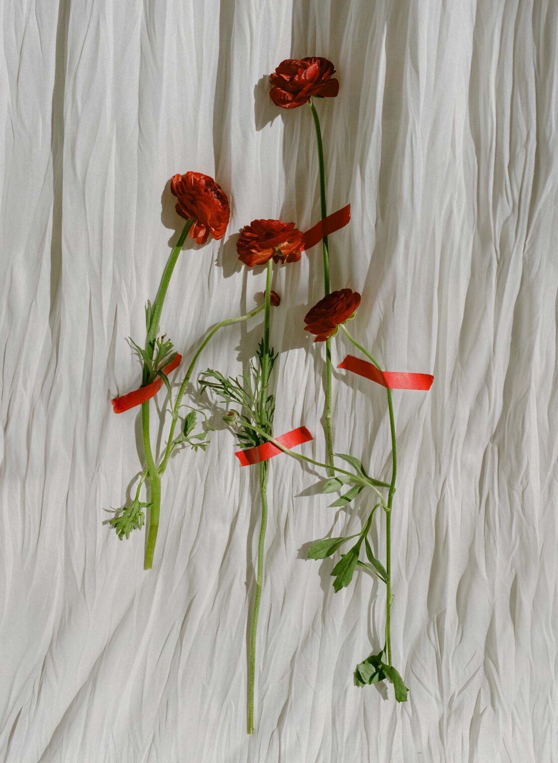 Still life composition featuring red ranunculus flowers with green stems and leaves, held in place by red tape, against white fabric.