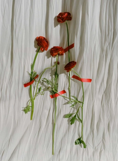 Still life composition featuring red ranunculus flowers with green stems and leaves, held in place by red tape, against white fabric.