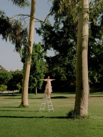 Woman in a light dress standing atop a white stepladder between tall eucalyptus trees in a park by Amy Harrity