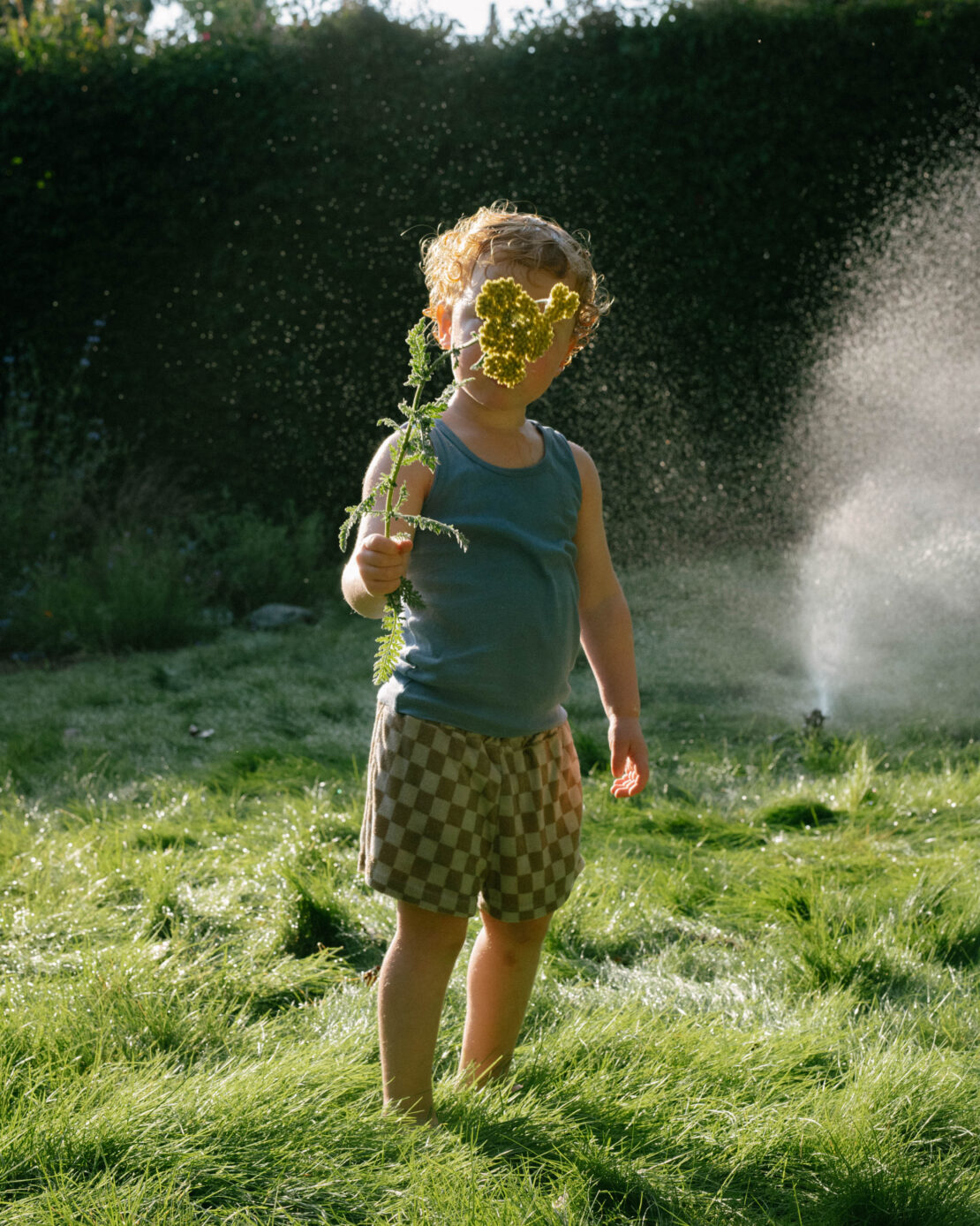 A child stands barefoot on green grass, holding yellow flowers in front of their face near a sprinkler on a sunny day.