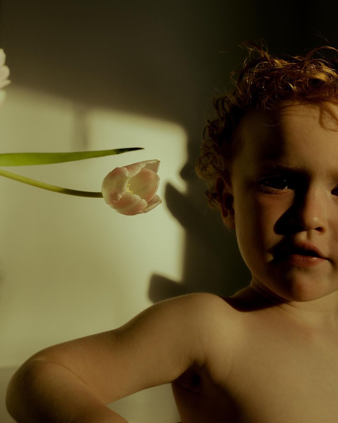 Red-haired child portrait illuminated by sunlight near a tulip, creating strong shadows on the wall for soft, focused aesthetic.