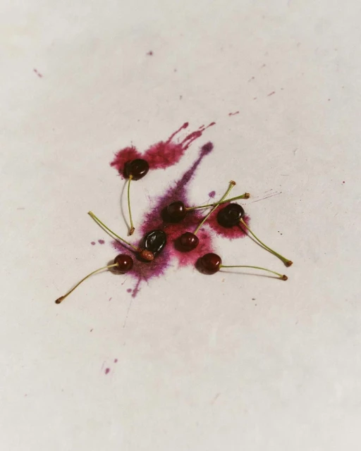 Overhead shot of cherries with stems placed on a white surface with burgundy liquid splashes, creating a minimalist food still life.