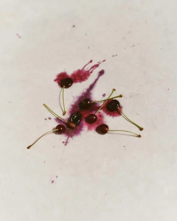 Overhead shot of cherries with stems placed on a white surface with burgundy liquid splashes, creating a minimalist food still life.