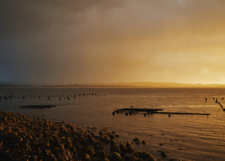 Calm golden water reflects the overcast sky at the shoreline with grass and land in the distance, creating a serene landscape.