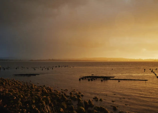 Calm golden water reflects the overcast sky at the shoreline with grass and land in the distance, creating a serene landscape.