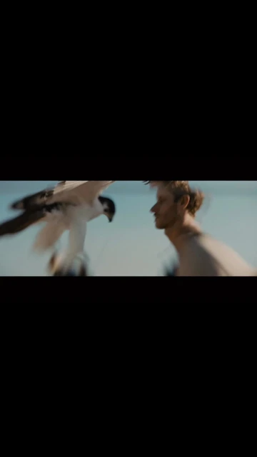 Osprey flies near a shirtless man outdoors, creating a captivating nature scene under clear sky. Motion blur adds a sense of dynamism.