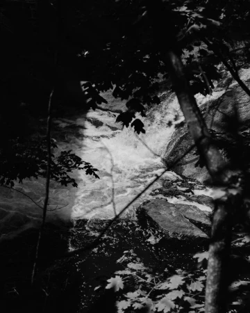 Monochrome photograph of a rushing waterfall framed by dark overhead tree branches and leaves by Clayton Cotterell.