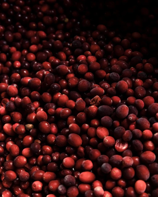 Abundant cranberries fill the frame, showcasing their deep red color and smooth, round texture, suggestive of a fresh harvest.