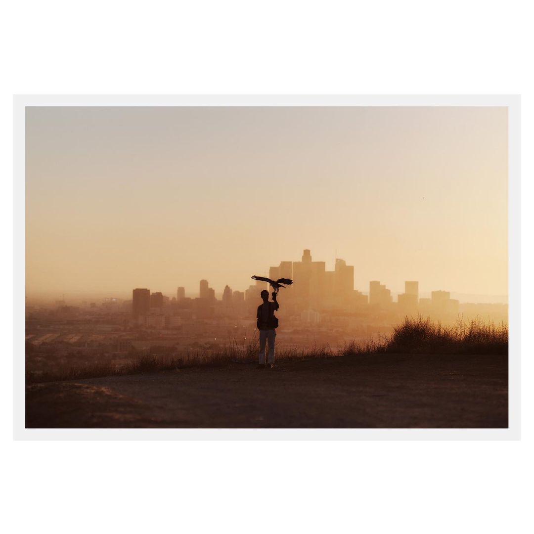 Person holding a bird silhouette against the Los Angeles skyline at sunset, creating a peaceful, golden-hour urban nature scene.