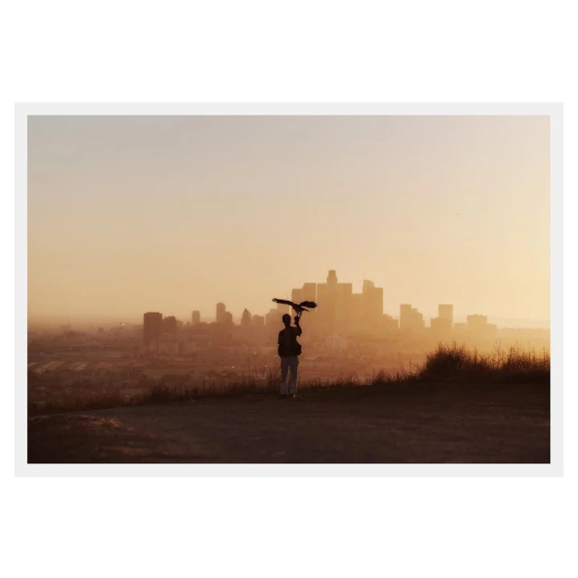 Person holding a bird silhouette against the Los Angeles skyline at sunset, creating a peaceful, golden-hour urban nature scene.