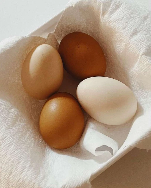 Overhead shot of four chicken eggs in a variety of brown and white hues, arranged on a white textured cloth in soft natural light.