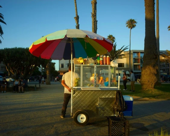 A street vendor stands behind his food cart with a colorful umbrella on a sunny day near palm trees and a blue sky in a city park.