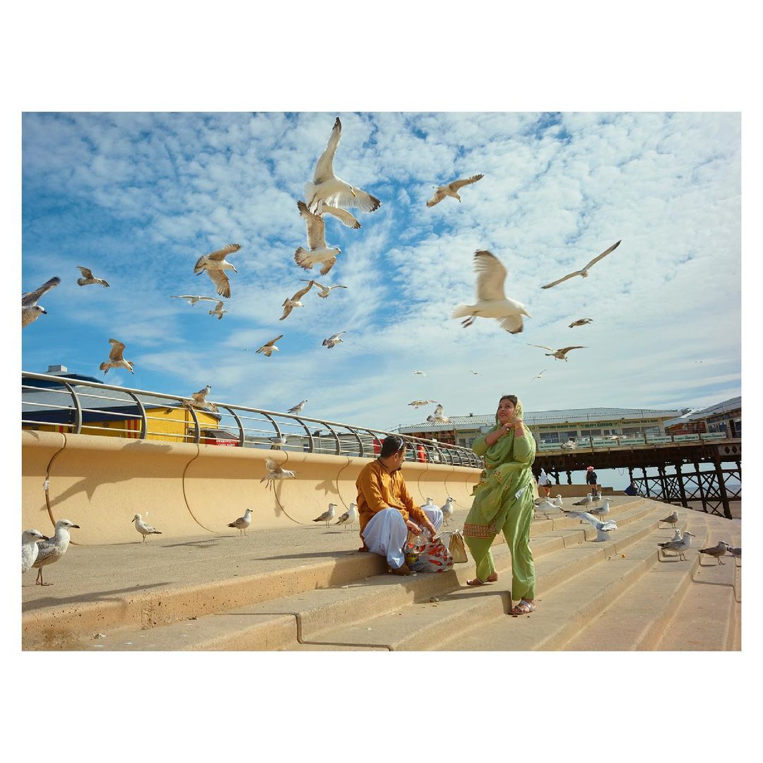 Two adults at seaside surrounded by many white seagulls with a blue sky with white clouds in the background, feeding the birds.