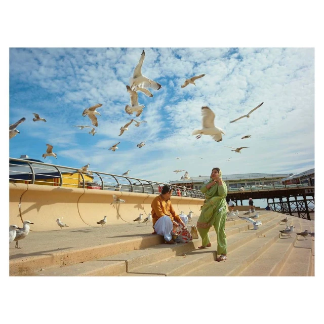 Two adults, seated on stairs, are surrounded by seagulls on a sunny day near the seaside, with a pier visible in the background.